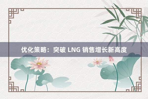 优化策略：突破 LNG 销售增长新高度